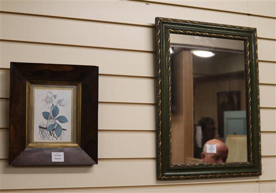 A Victorian rosewood framed botanical watercolour and a green and gilt framed wall mirror mirror W.45cm (2)